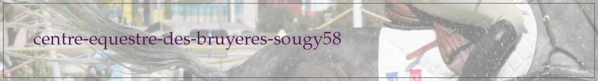 centre-equestre-des-bruyeres-sougy58